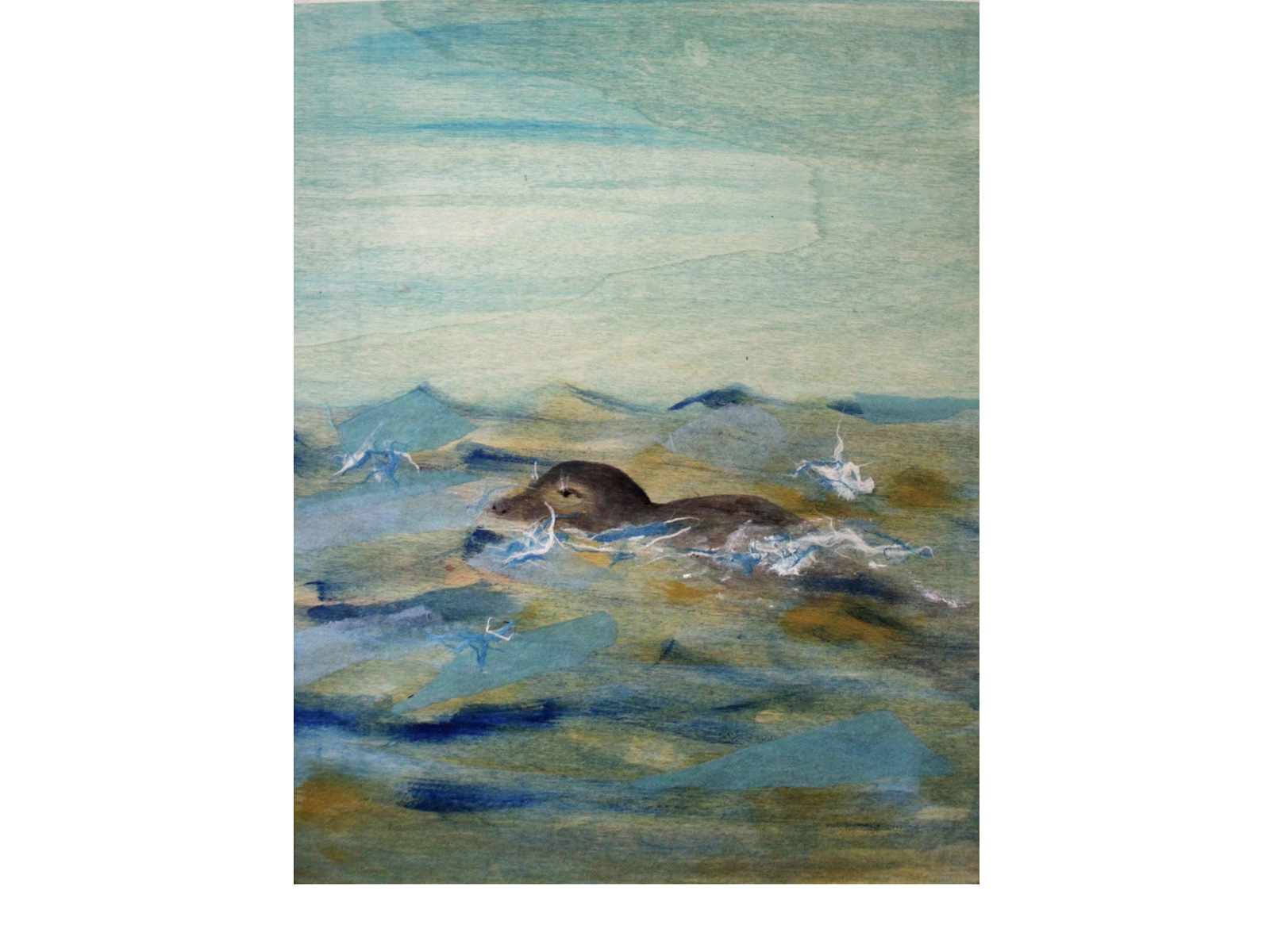 Seal at Sea