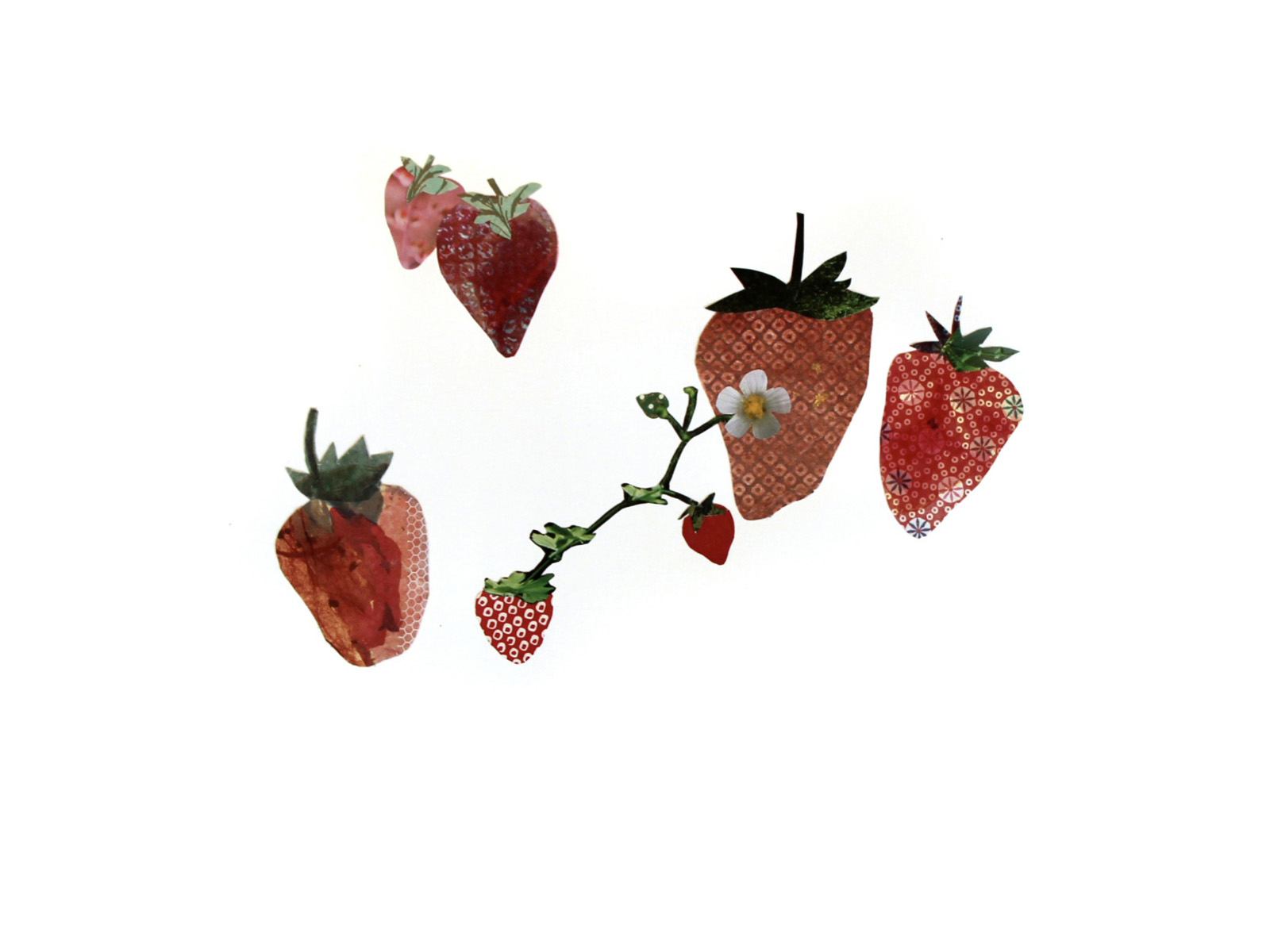 feild strawberries